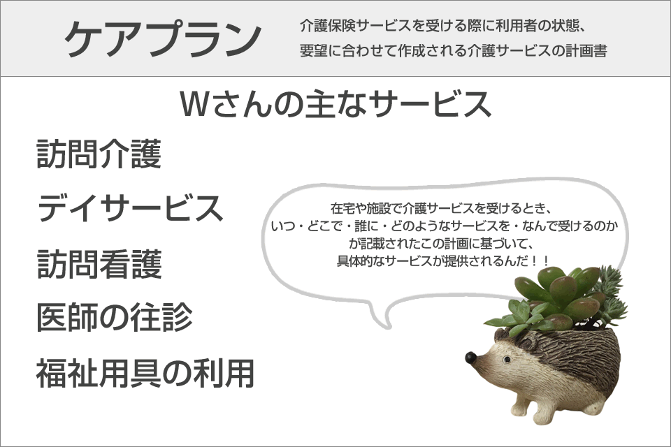 ケアプラン　訪問介護　デイサービス　訪問看護　医師の往診　福祉用具の利用